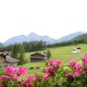Ferienwohnung 3 - Balkonaussicht